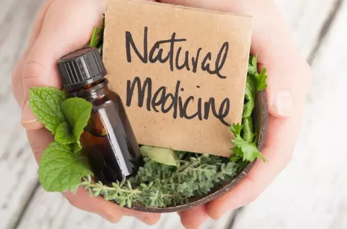 Naturopathic Doctors – What You Need to Know